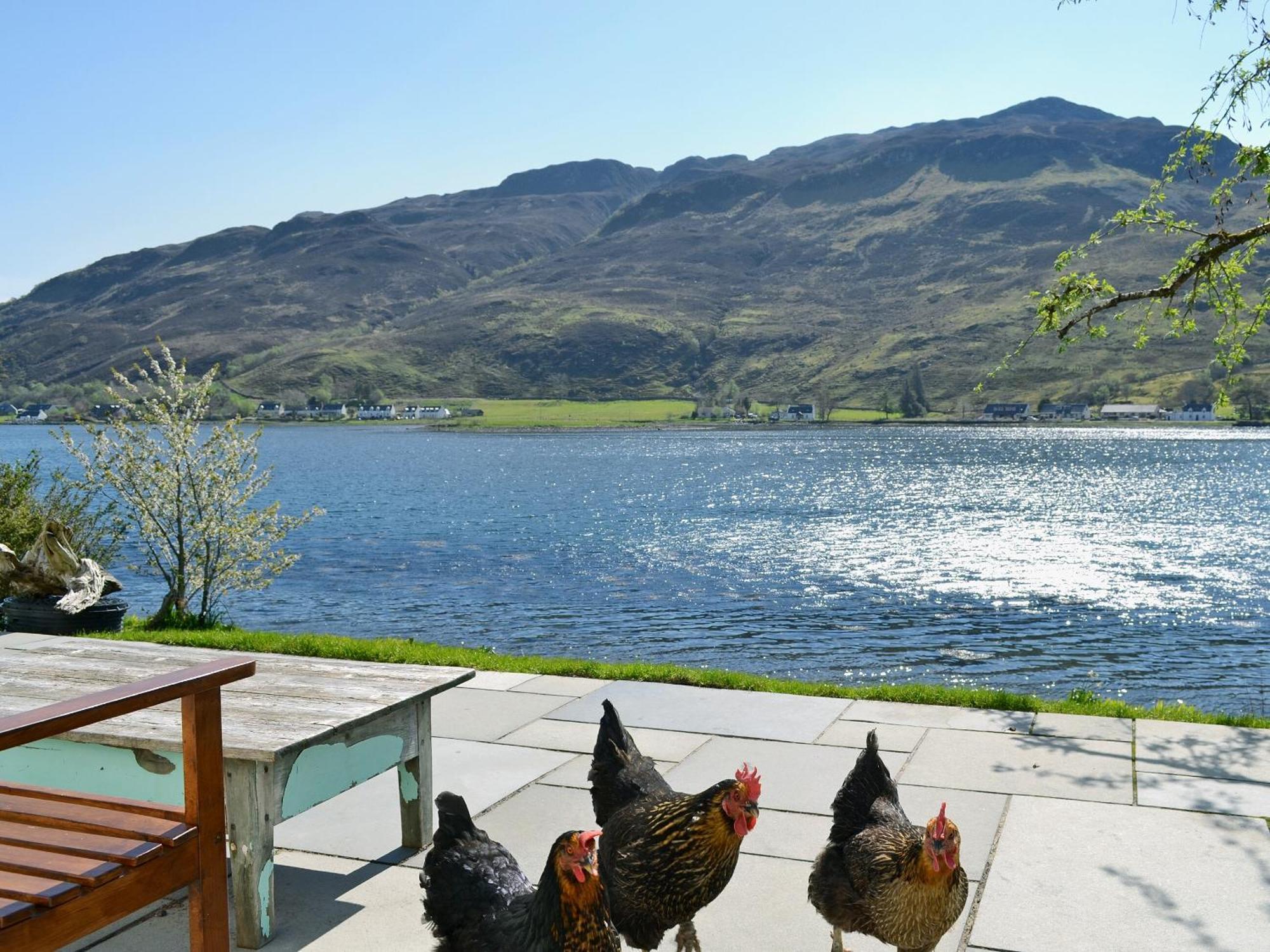 Loch Shore Cottage Dornie Ngoại thất bức ảnh